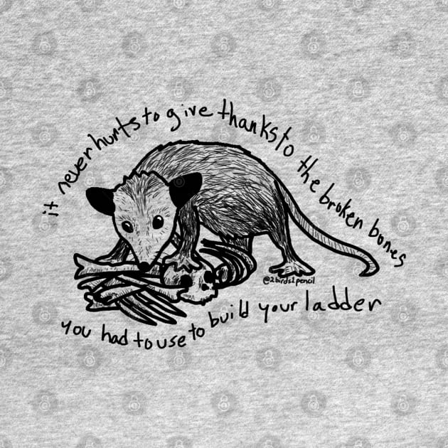 Possum standing on bone pile - inspired by lyrics from the Mountain Goats by 2Birds1Pencil